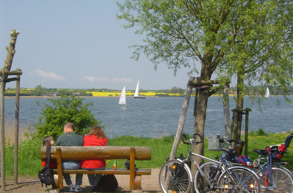 Naturpark Schlei e.V. und Ostseefjord Schlei GmbH schweigen